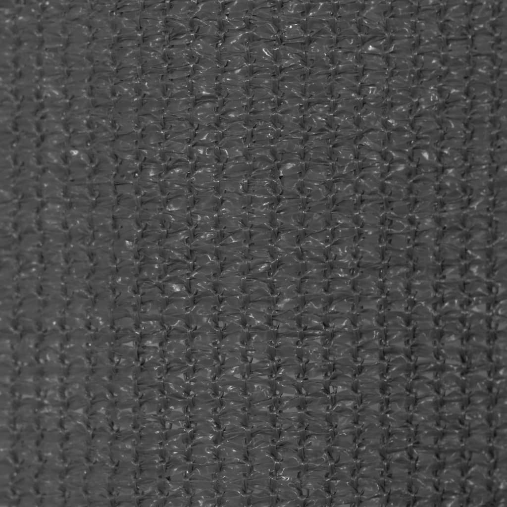 Außenrollo 100 x 230 cm Anthrazit