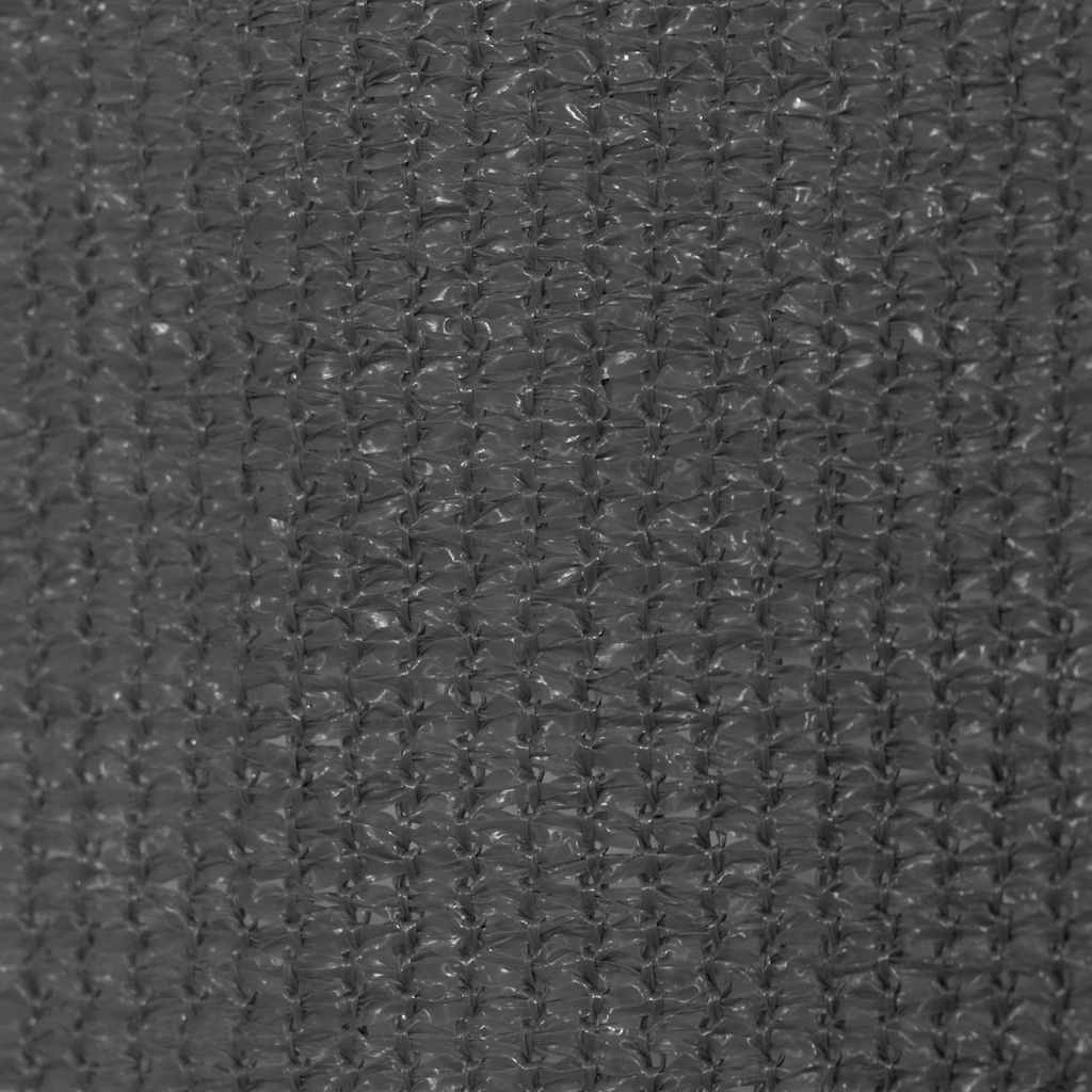Außenrollo 220 x 230 cm Anthrazit