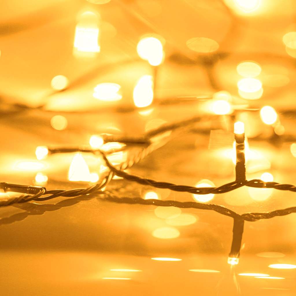 Lichterkette mit 1000 LEDs 100 m 8 Lichteffekte IP44 Warmweiß