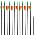 Recurvebogen-Pfeile 30" 0,6 cm Fiberglas 12 Stk.