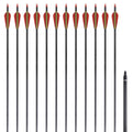 Recurvebogen-Pfeile 30" 0,76 cm Carbon 12 Stk.