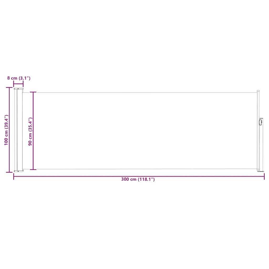 Ausziehbare Seitenmarkise 100×300 cm Schwarz