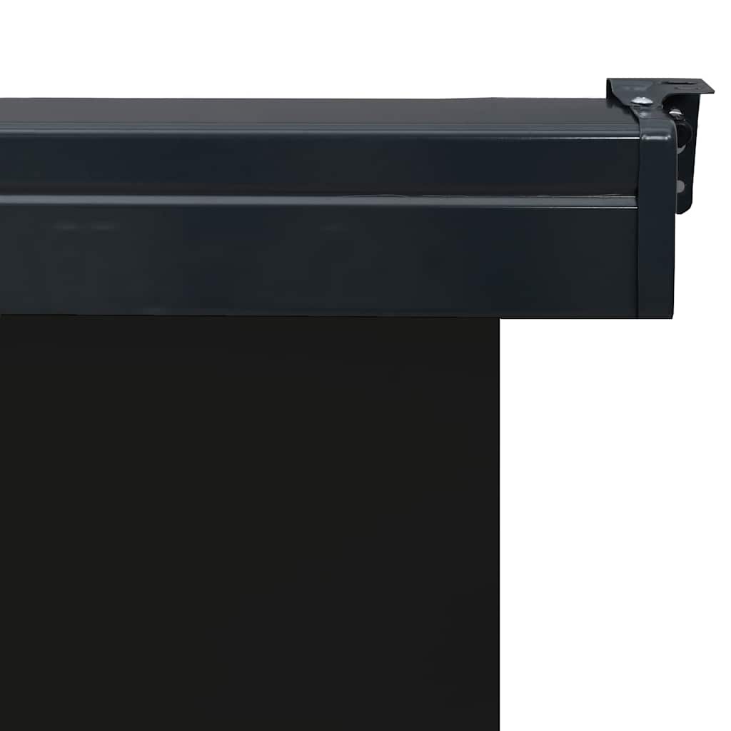 Balkon-Seitenmarkise 65x250 cm Schwarz