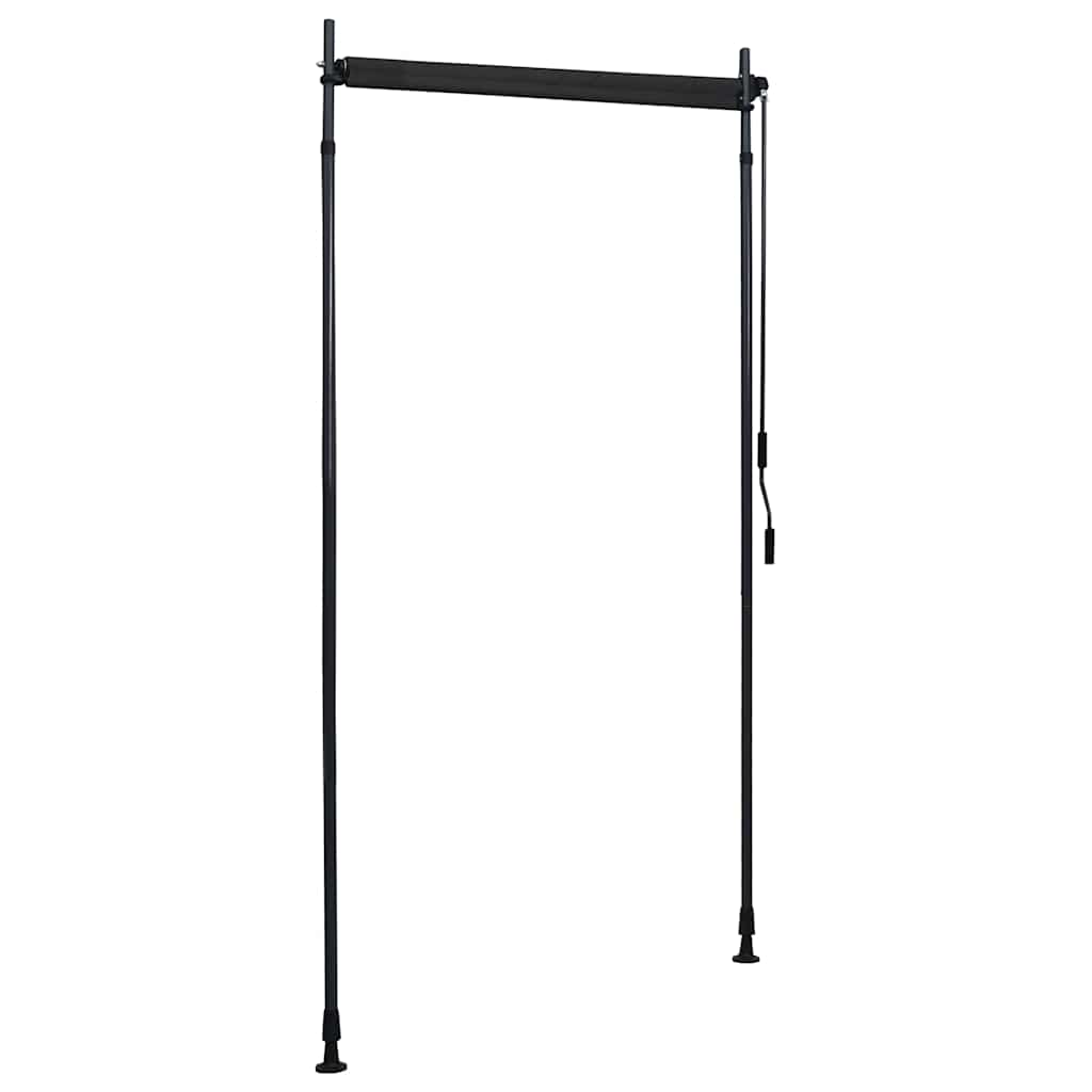 Außenrollo 100 x 270 cm Anthrazit