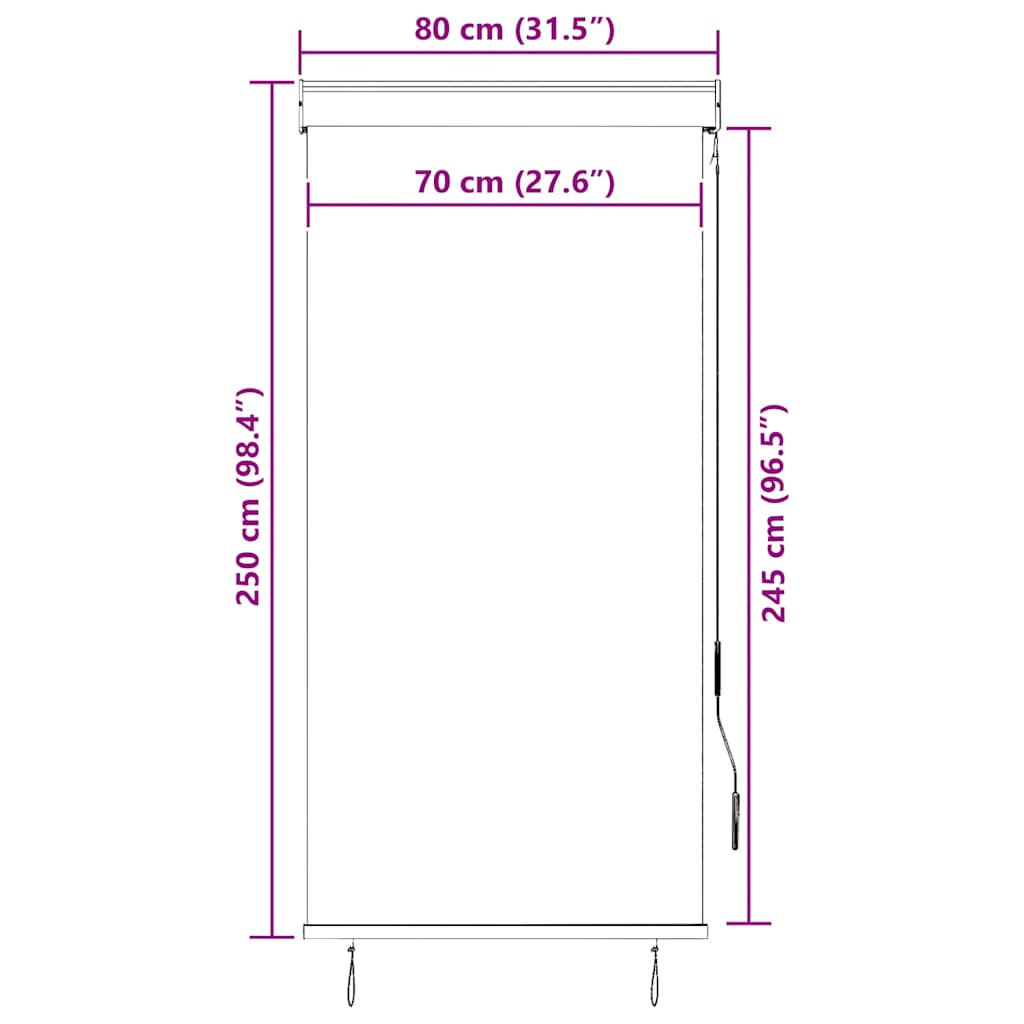 Außenrollo 80 x 250 cm Anthrazit
