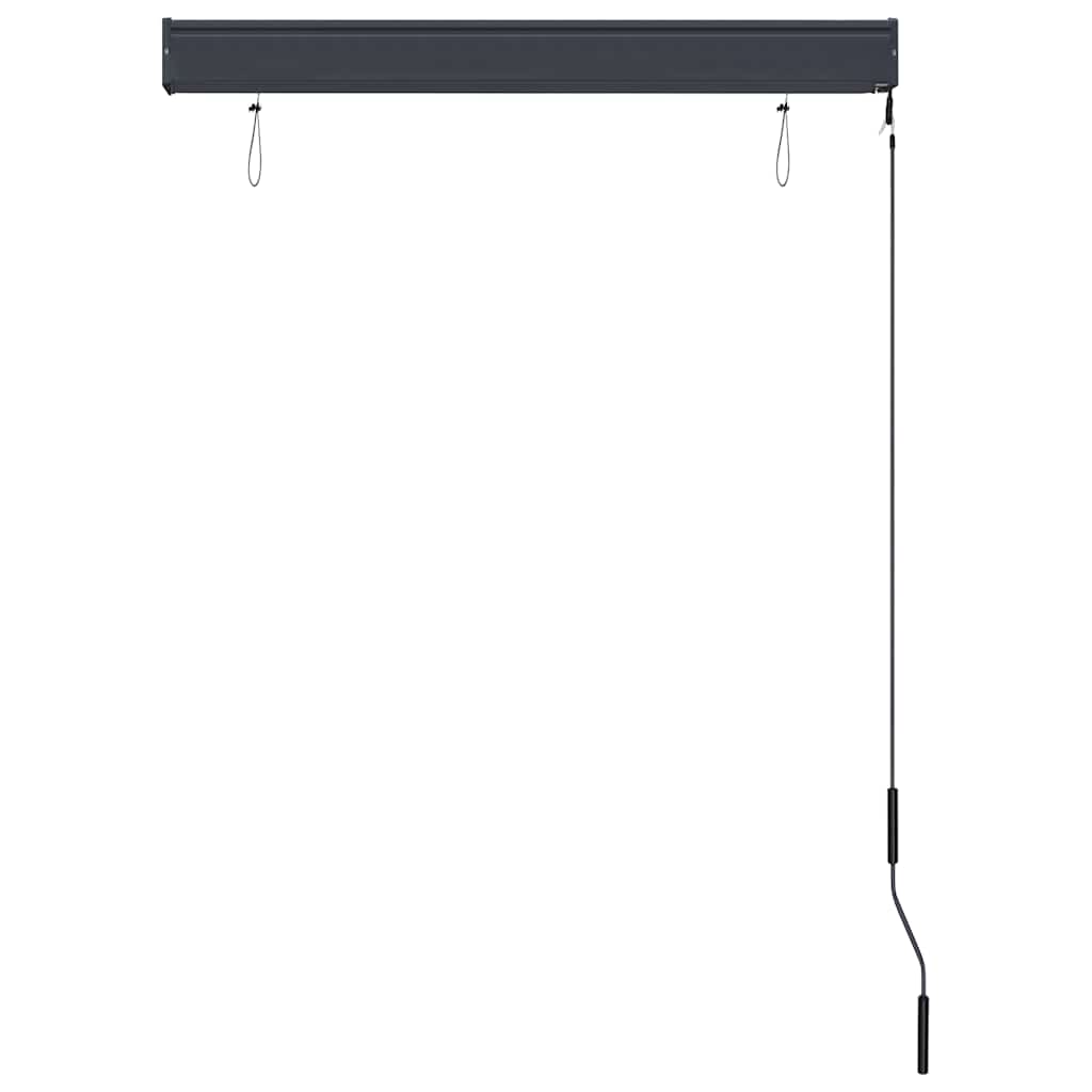Außenrollo 100 x 250 cm Blau und Weiß