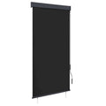Außenrollo 100 x 250 cm Anthrazit
