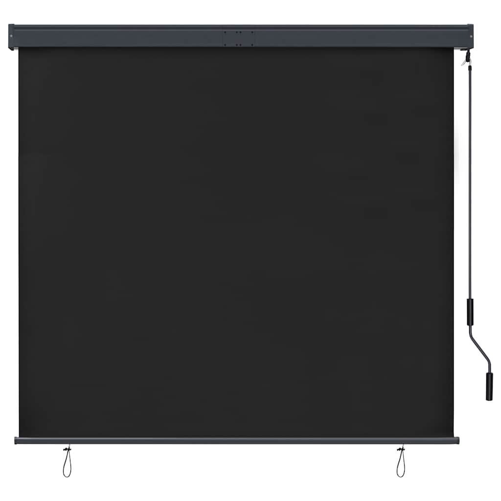 Außenrollo 160x250 cm Anthrazit