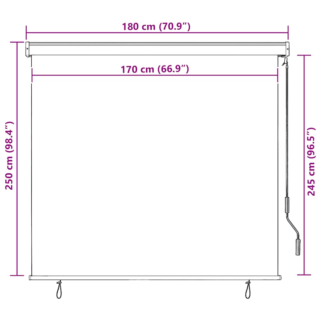 Außenrollo 170 x 250 cm Creme