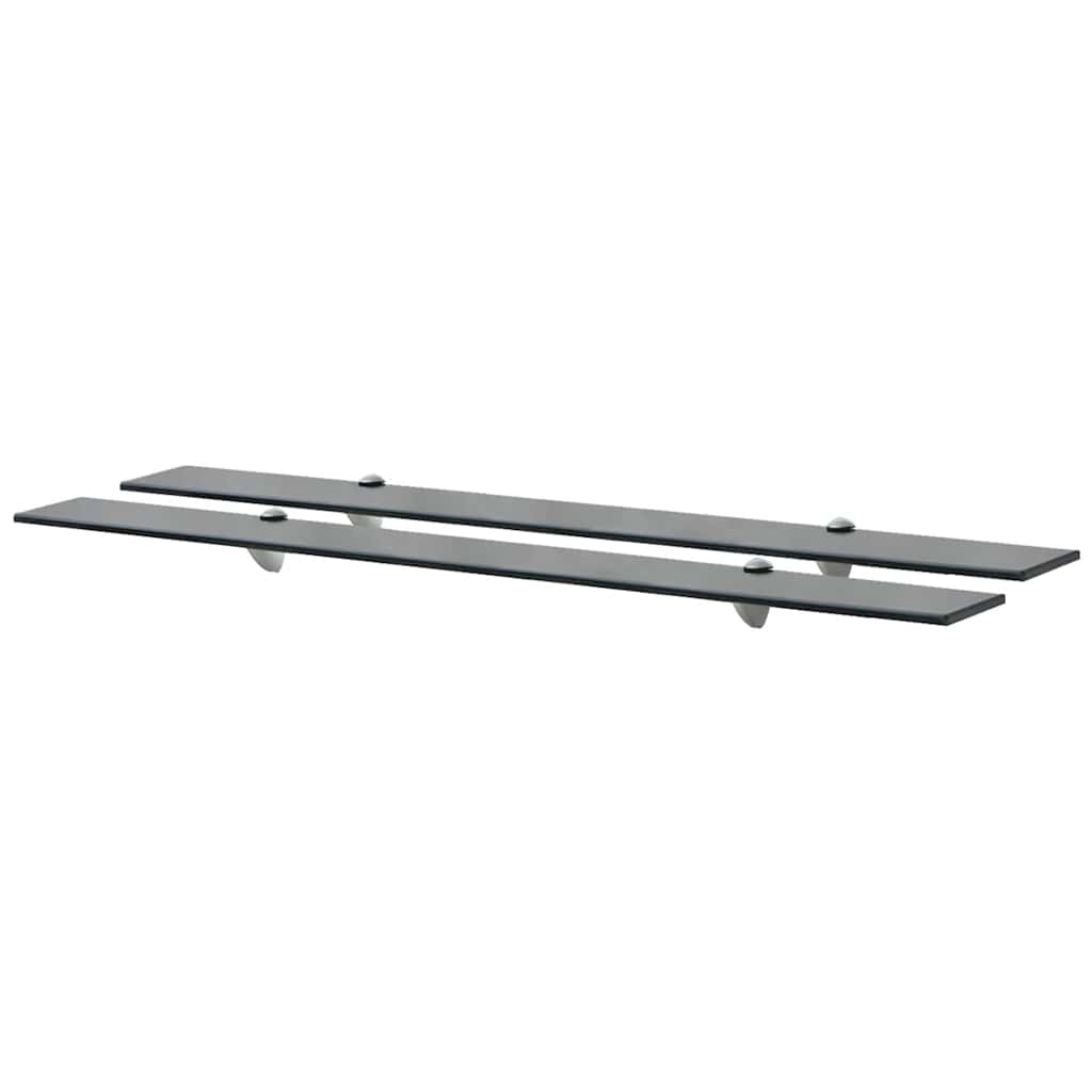 Schweberegale 2 Stk. Glas 100x20 cm 8 mm