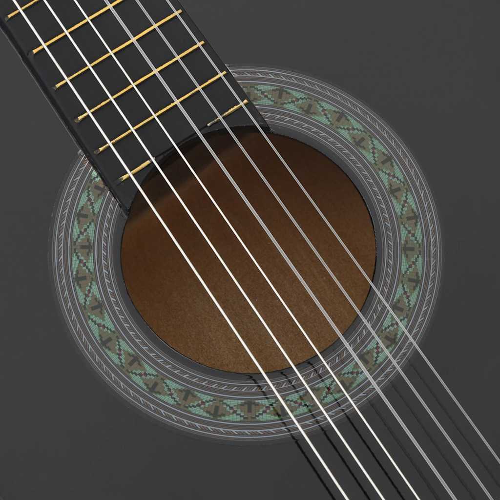 12-tlg. Klassikgitarren-Set für Anfänger Schwarz 4/4 39"