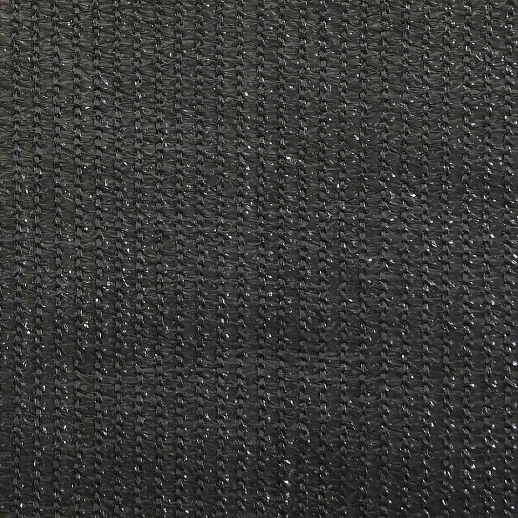 Außenrollo 80x140 cm Anthrazit