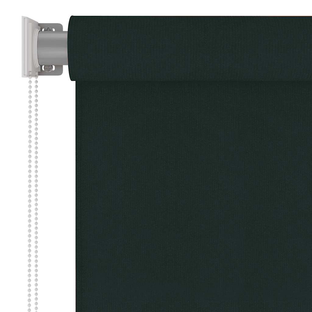 Außenrollo 220x230 cm Dunkelgrün HDPE