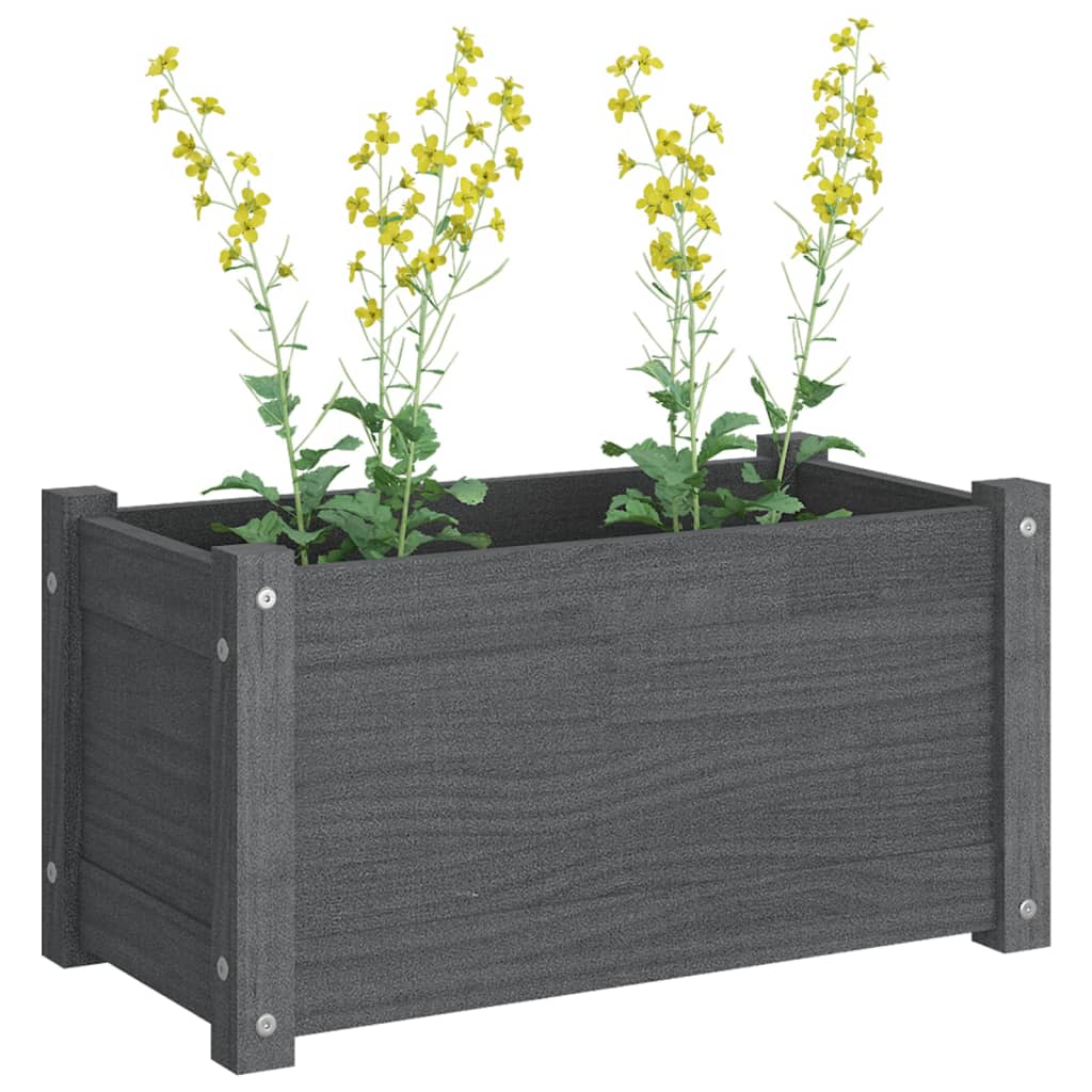 Pflanzkübel 2 Stk. Grau 60x31x31 cm Massivholz Kiefer