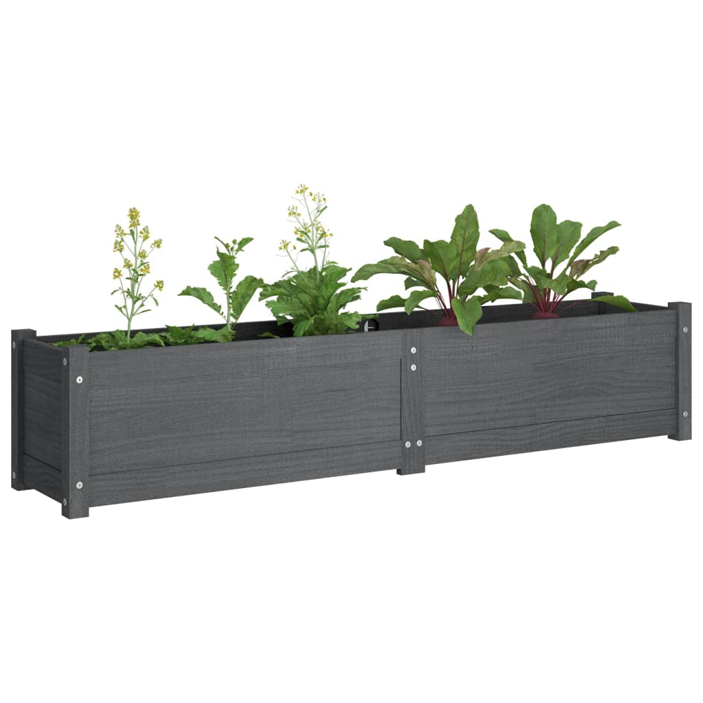 Garten-Hochbeet Grau 150x31x31 cm Massivholz Kiefer