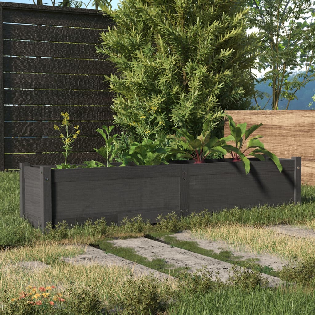 Garten-Hochbeet Grau 150x31x31 cm Massivholz Kiefer