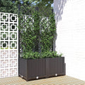 Garten-Pflanzgefäß mit Spalier Schwarz 80 x 40 x 136 cm PP