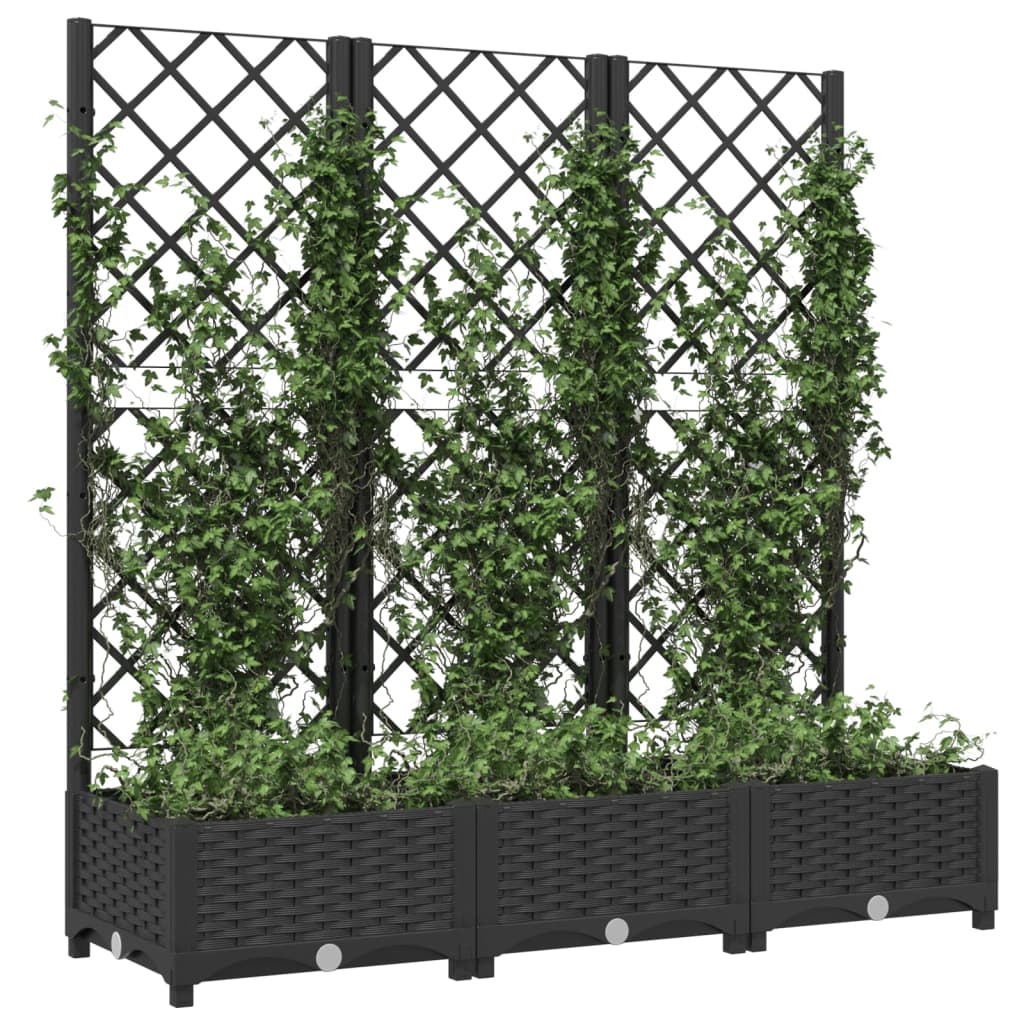 Garten-Pflanzgefäß mit Spalier Schwarz 120 x 40 x 121,5 cm PP