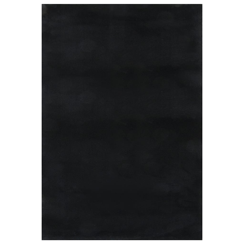 Teppich Waschbar Flauschig Kurzflor 160x230 Rutschfest Schwarz