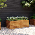 Garten-Hochbeet 100 x 50 x 36 cm Cortenstahl