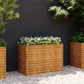 Garten-Hochbeet 100 x 50 x 69 cm Cortenstahl