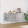 Wand-Schuhschrank Betongrau 100x35x38 cm Holzwerkstoff
