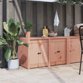 Outdoor-Küchenschrank MEPPEL 106x55x64 cm Massivholz Douglasie