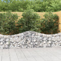 Gabionen mit Hochbogen 30 Stk. 200x30x60/80 cm Verzinktes Eisen