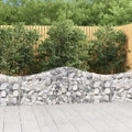 Gabionen mit Hochbogen 50 Stk. 200x30x60/80 cm Verzinktes Eisen