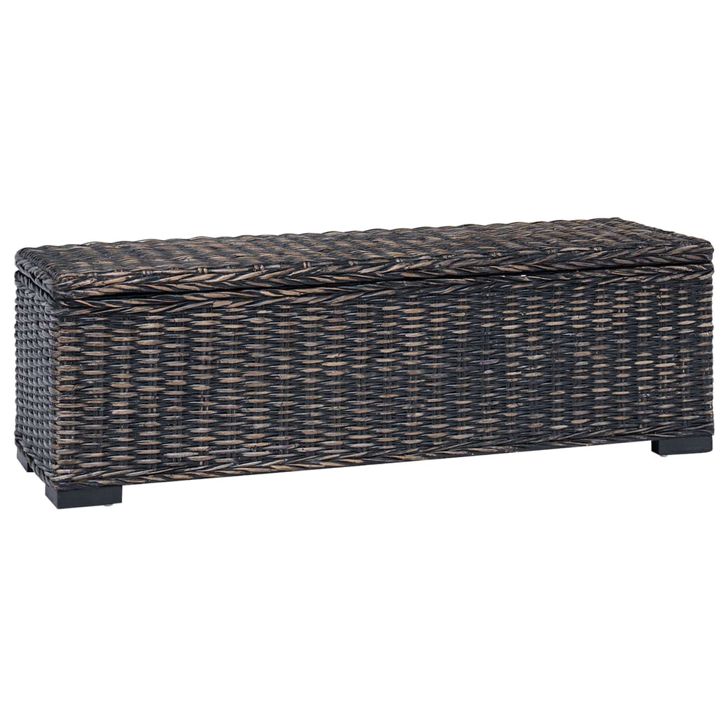 Aufbewahrungsbox mit Speicher Schwarz 110 x 35 x 45 cm