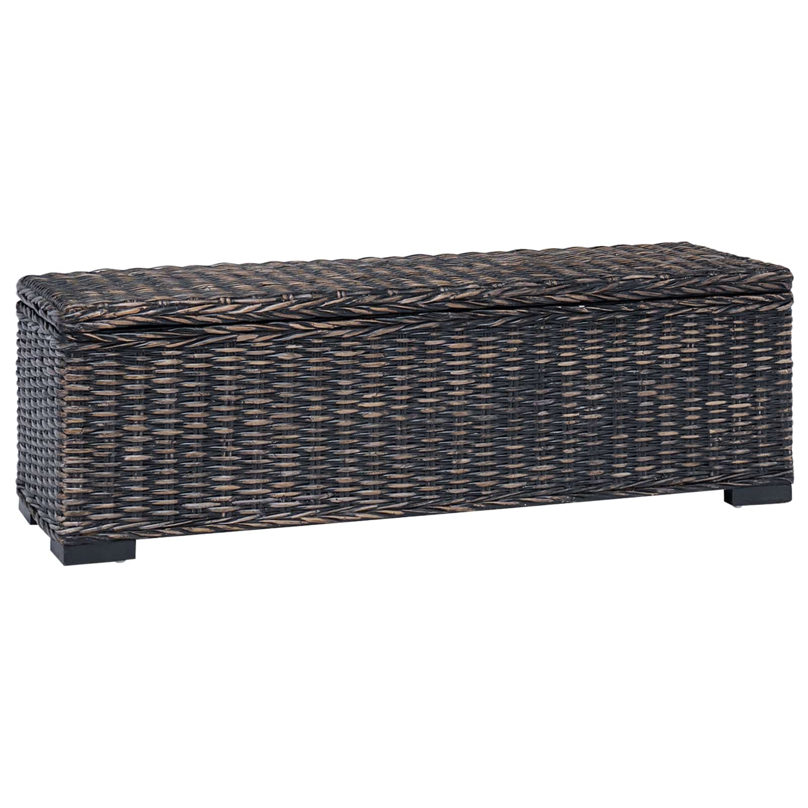 Aufbewahrungsbox mit Speicher Schwarz 110 x 35 x 45 cm