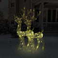 LED-Rentiere 2 Stk. Acryl 120 cm Warmweiß