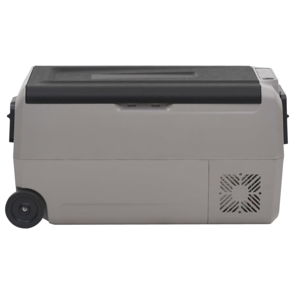 Kühlbox mit Rollen und Griff Schwarz & Grau 60 L PP & PE