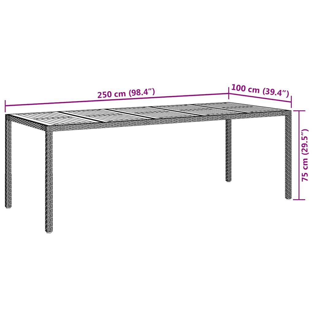 Gartentisch Schwarz 250 x 100 x 75 cm Poly-Rattan