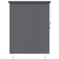 Rollo Anthrazit 220 x 250 cm Stoff und Aluminium