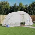 Gewächshaus mit Stahlrahmen Weiß 10 m² 5x2x2,3 m