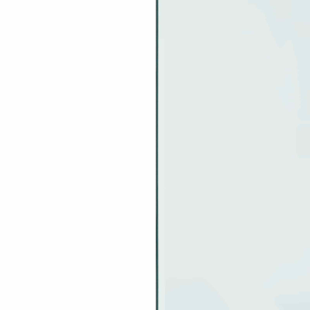 Feuerstelle Glasplatte Transparent 80 x 50 cm Glas
