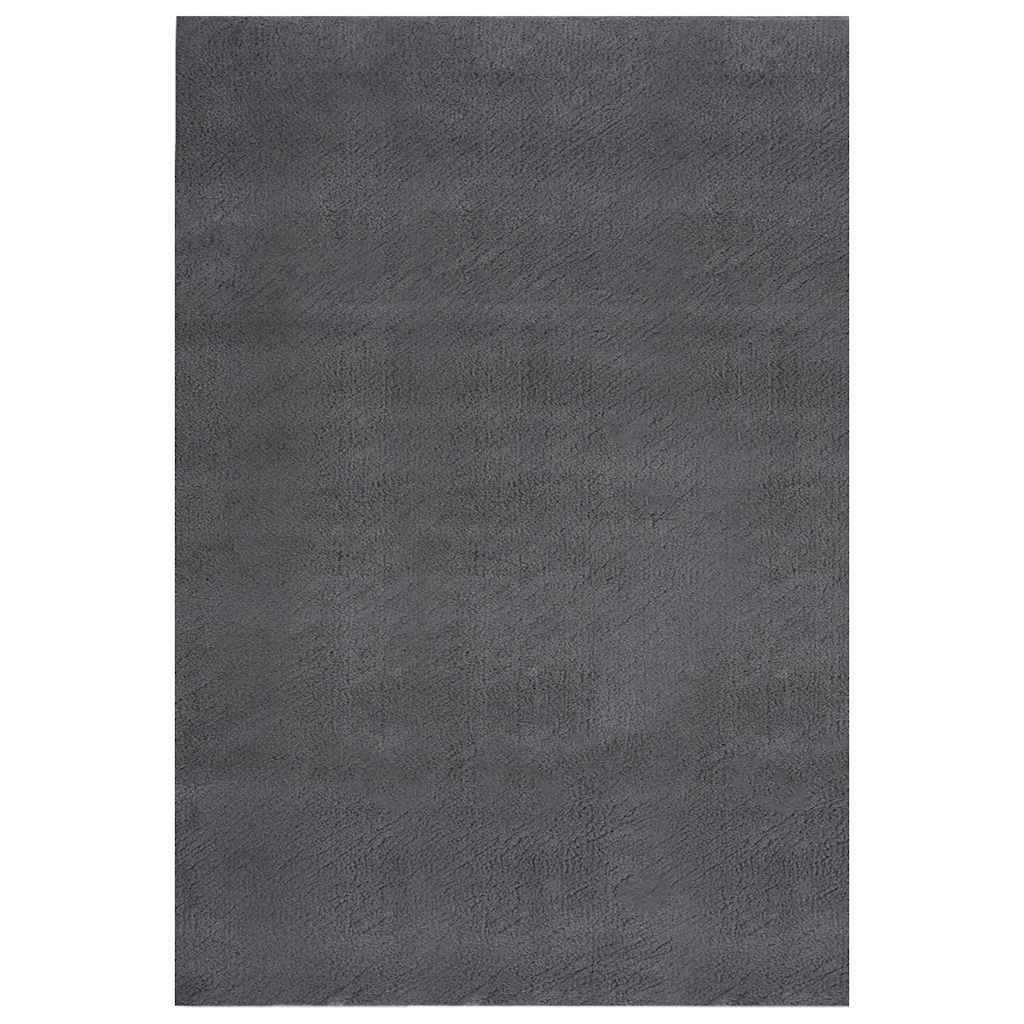 Shaggy-Teppich Anthrazit 240x340 cm Polyester