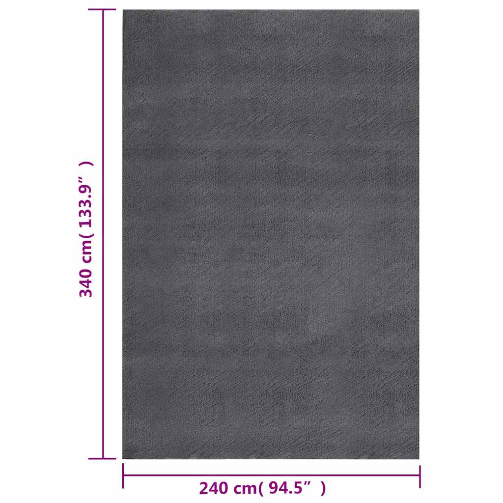 Shaggy-Teppich Anthrazit 240x340 cm Polyester