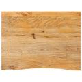 Tischplatte mit Baumkante 90x60x2,5 cm Massivholz Mango