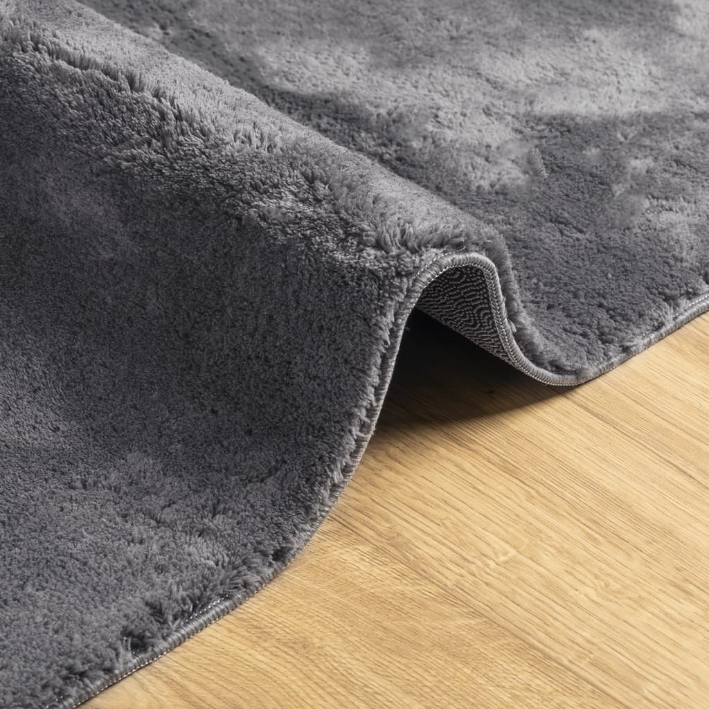 Teppich HUARTE Kurzflor Weich und Waschbar Anthrazit 140x200 cm