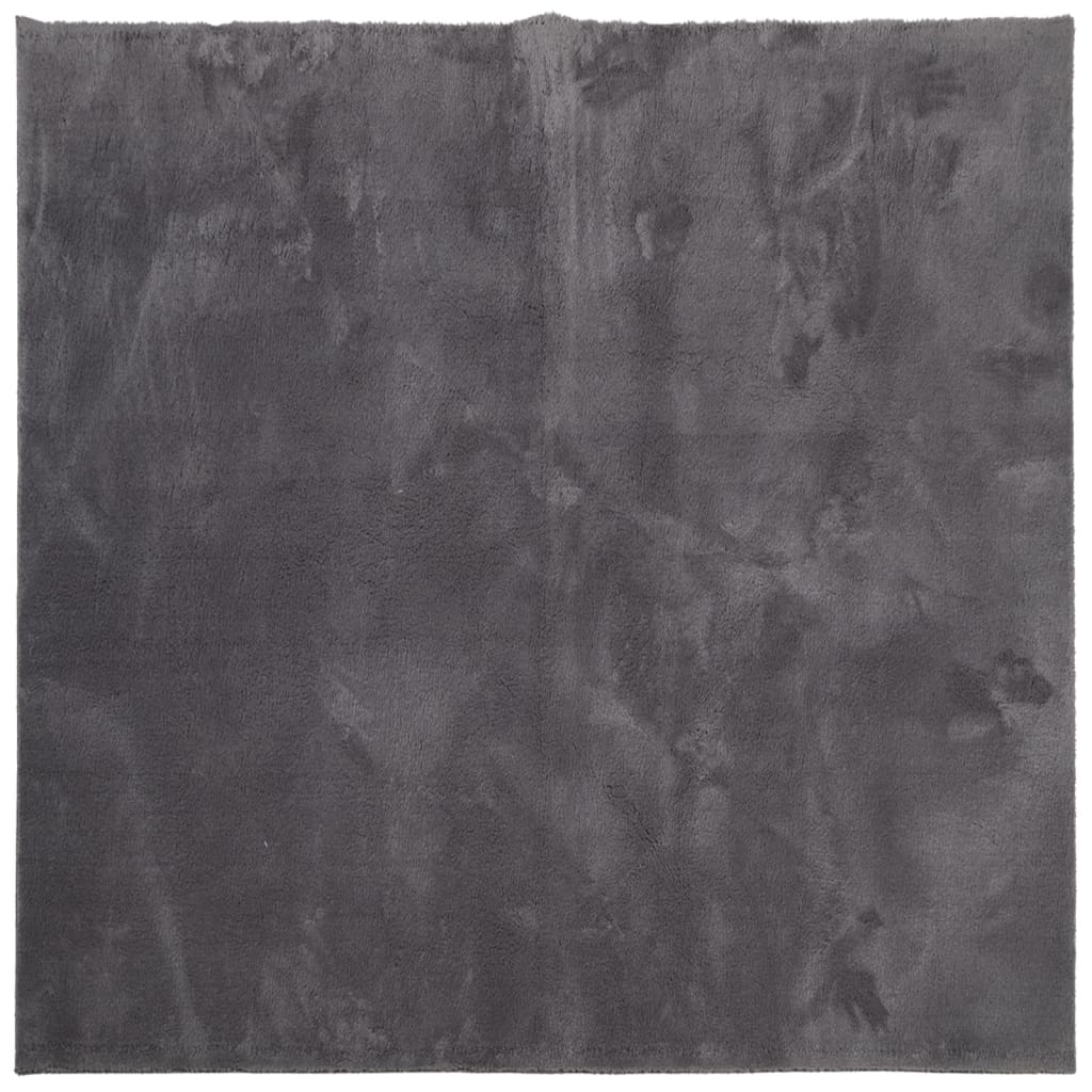 Teppich HUARTE Kurzflor Weich und Waschbar Anthrazit 160x160 cm