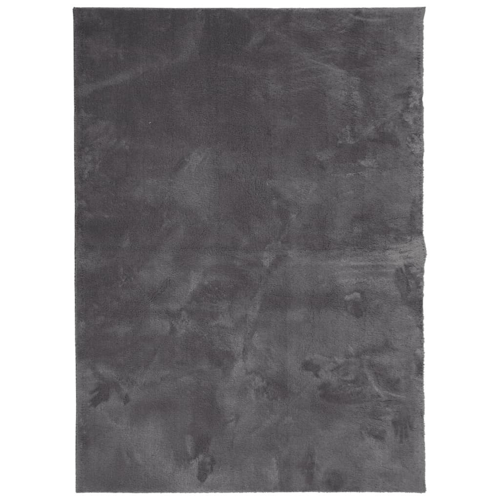 Teppich HUARTE Kurzflor Weich und Waschbar Anthrazit 160x230 cm
