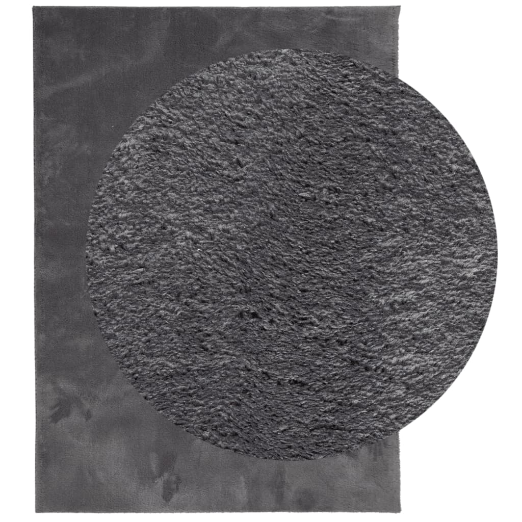 Teppich HUARTE Kurzflor Weich und Waschbar Anthrazit 160x230 cm