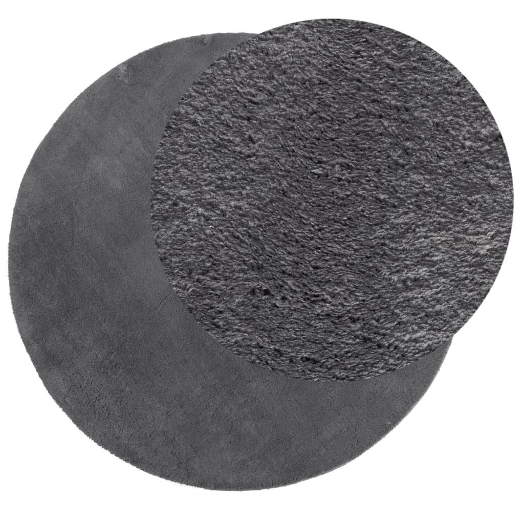Teppich HUARTE Kurzflor Weich und Waschbar Anthrazit Ø 160 cm