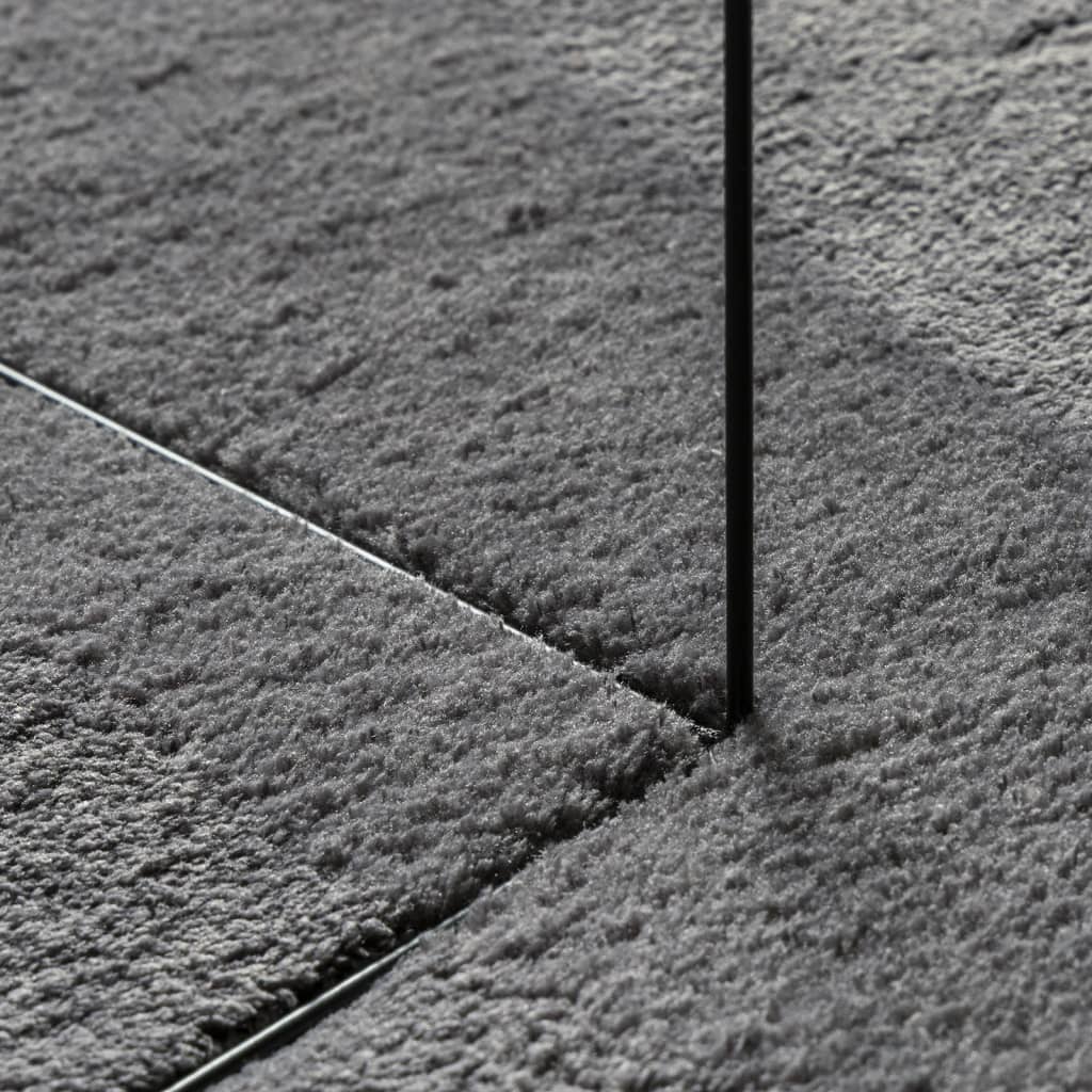 Teppich HUARTE Kurzflor Weich und Waschbar Anthrazit Ø 160 cm