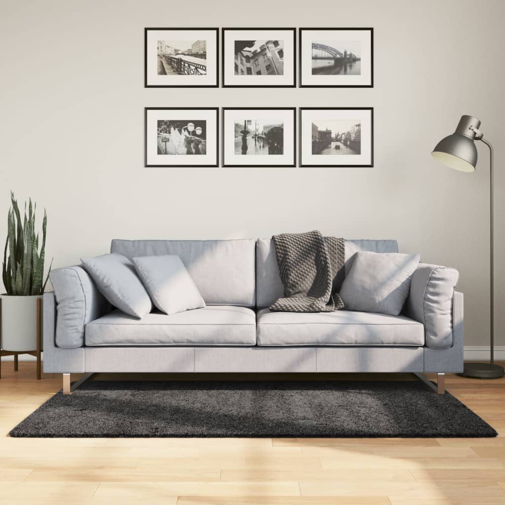 Shaggy-Teppich PAMPLONA Hochflor Modern Anthrazit 120x170 cm