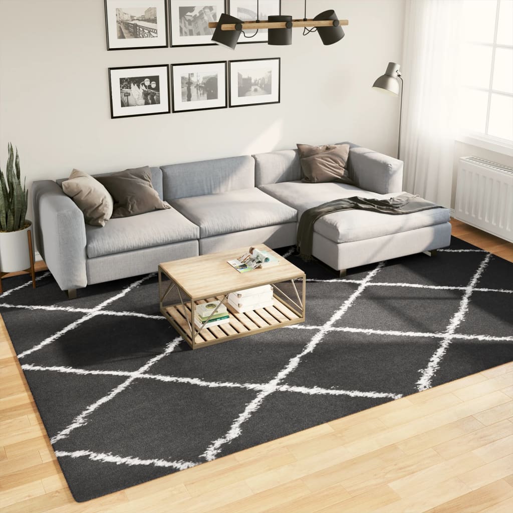 Shaggy-Teppich PAMPLONA Hochflor Modern Schwarz Creme 240x340cm