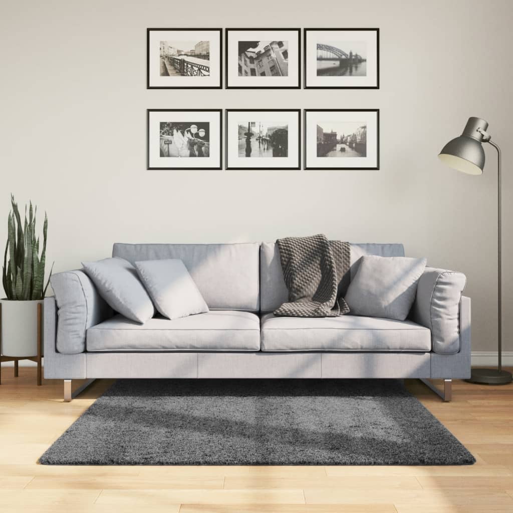 Teppich OVIEDO Kurzflor Anthrazit 120x120 cm