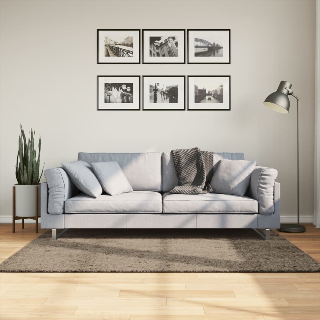 Teppich ISTAN Hochflor Glänzend Grau 120x170 cm